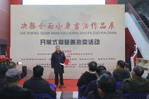 堅持文化初心 決勝全面小康 書法作品展暨慈善拍賣活動在湖南省文化館舉行