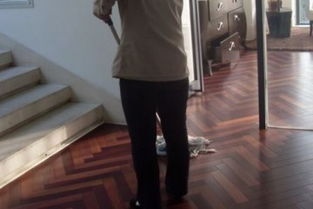 臺州日常保潔服務